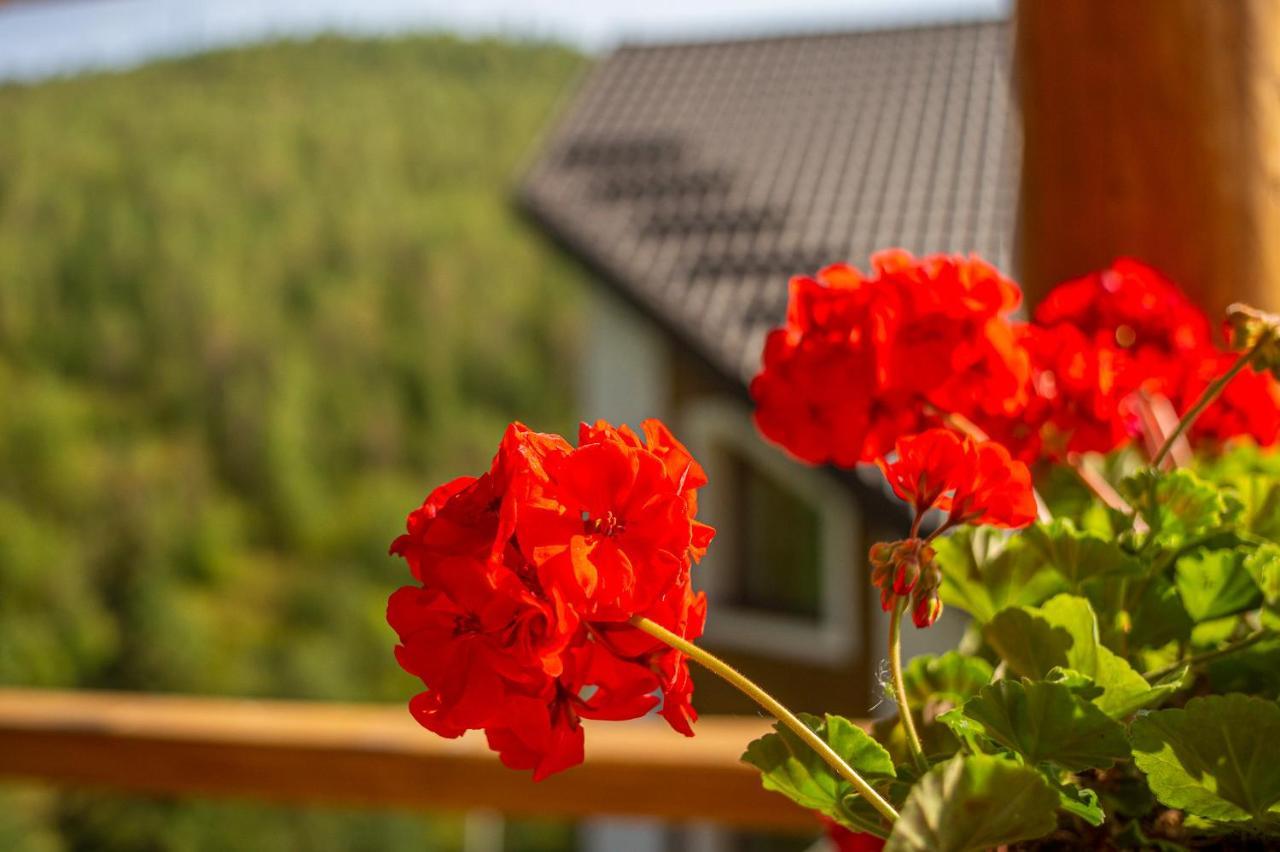 Konopka Guest House Bukovel Luaran gambar
