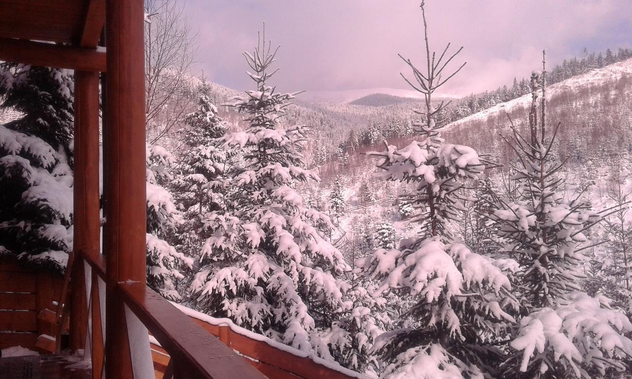 Konopka Guest House Bukovel Luaran gambar